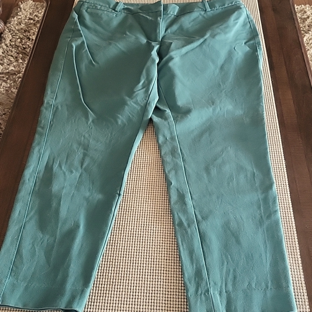 WHBM Dark Green